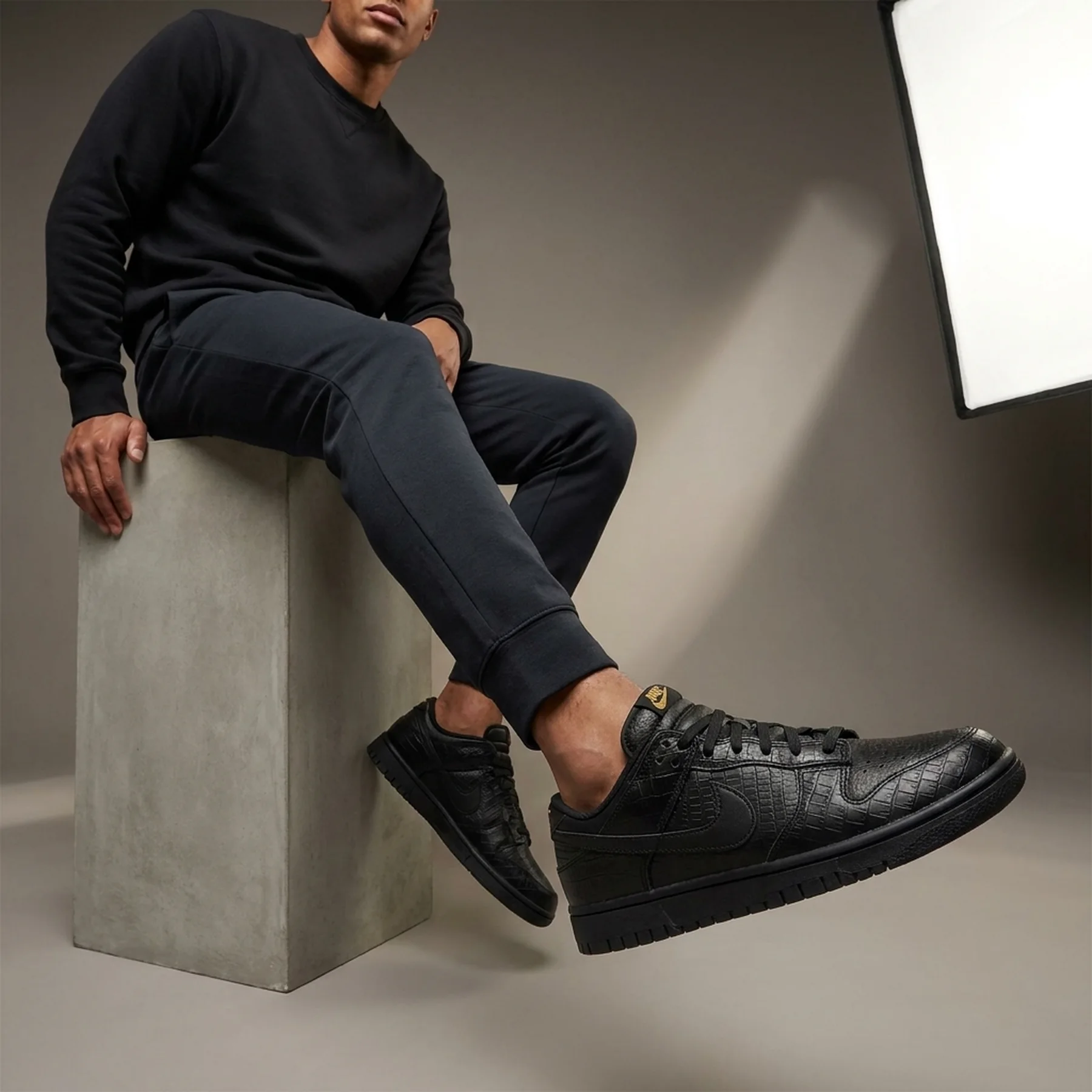 Кросівки Nike Dunk Low Retro Black Skin