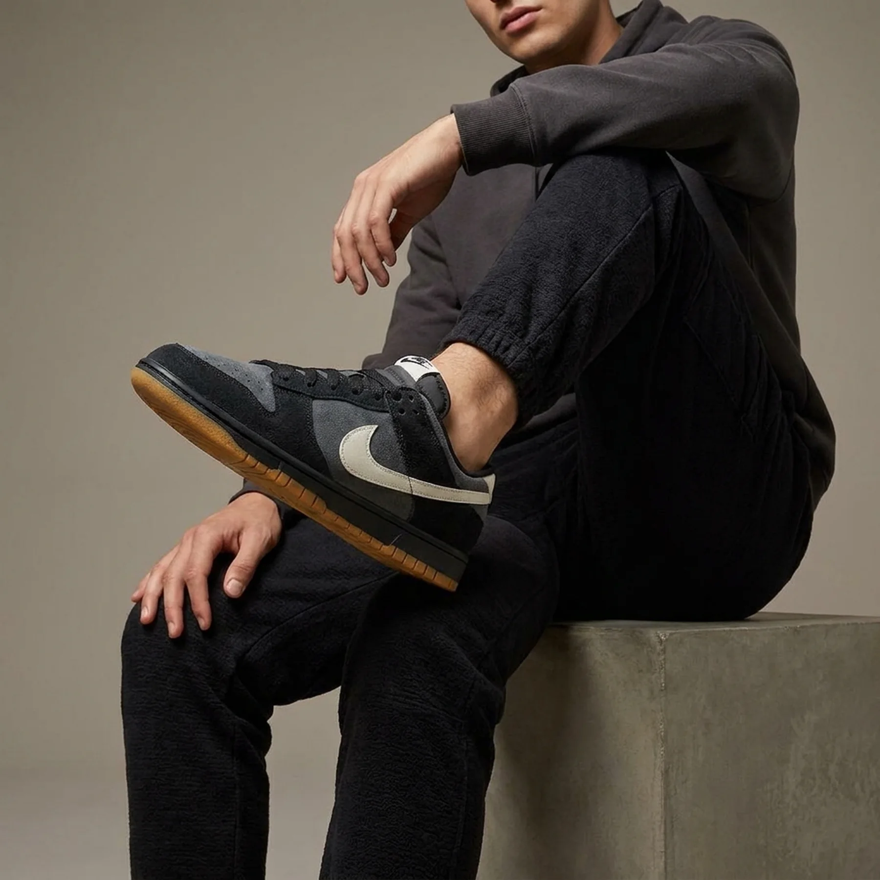 Кросівки Nike dunk low se