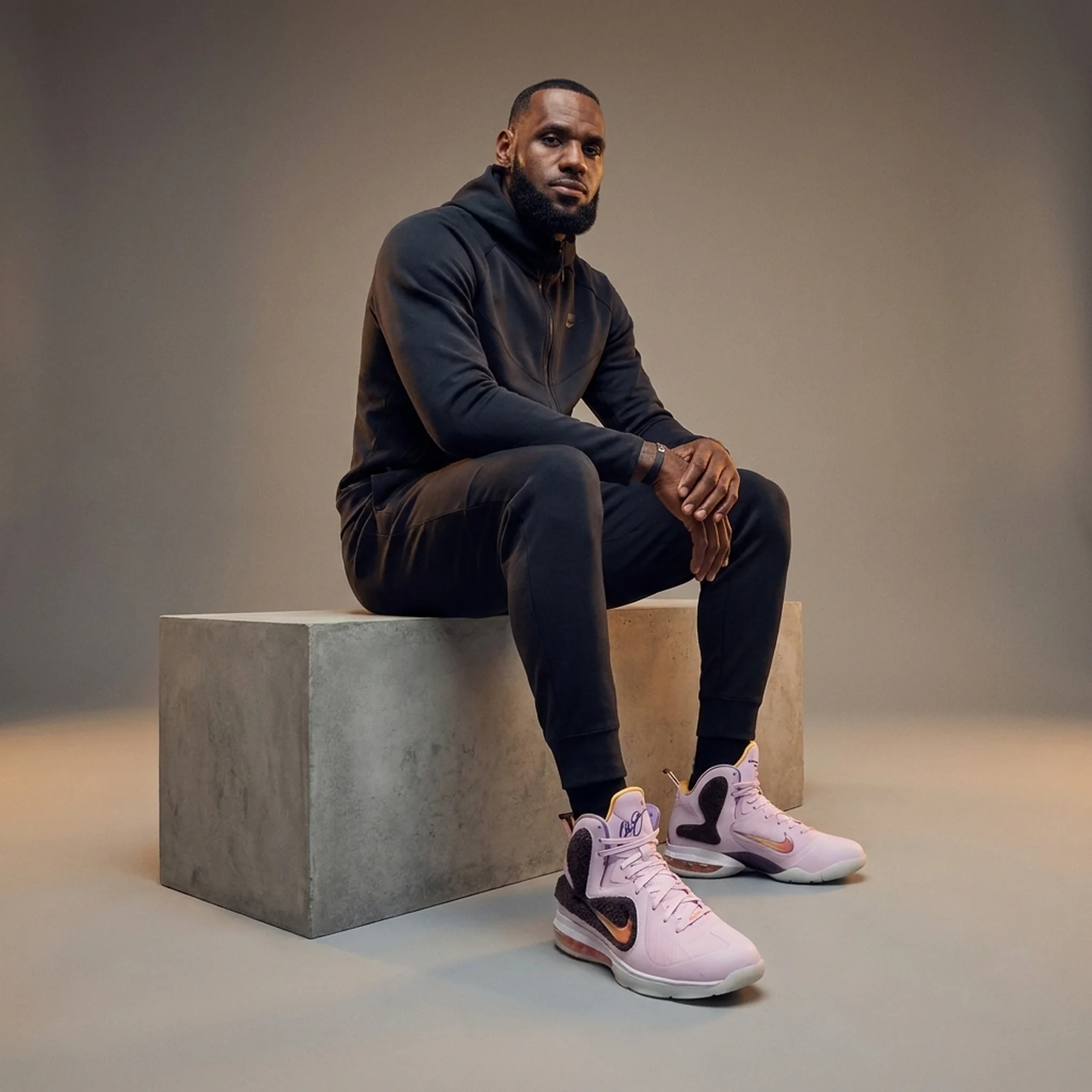 Кросівки Nike Lebron 9 King of LA (NoBox)