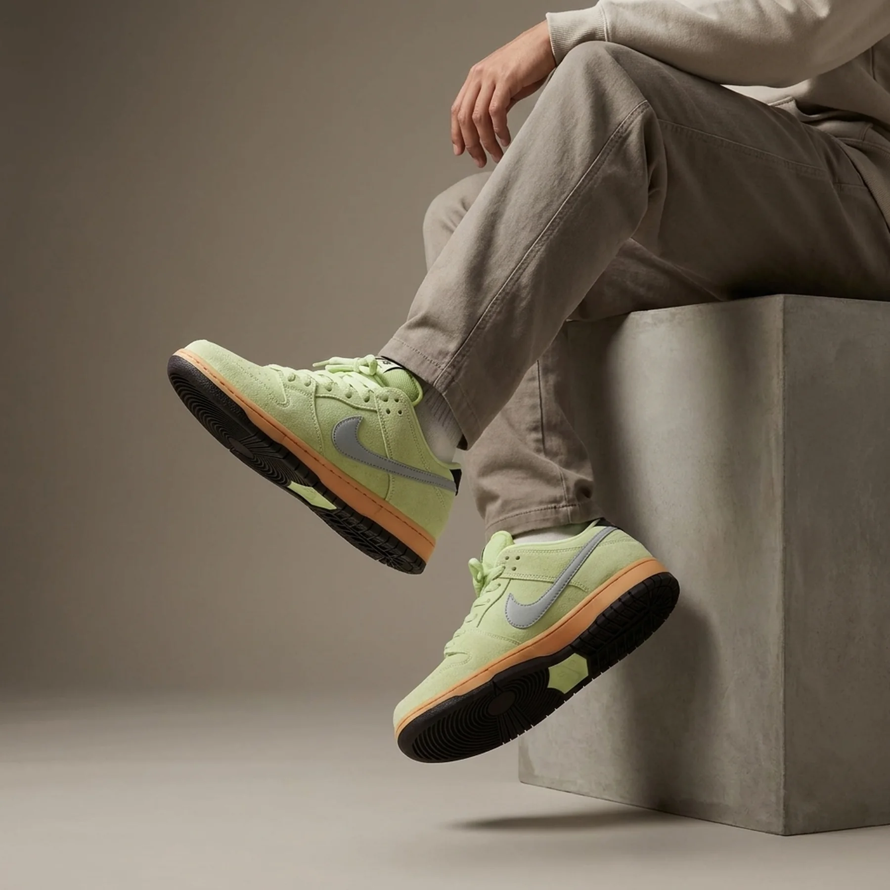 Кросівки Nike SB DU LOW PRO PRM