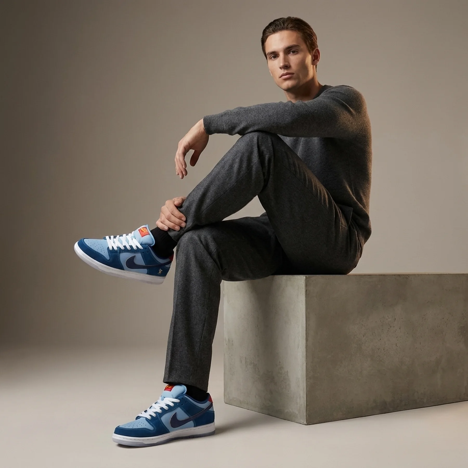 Кросівки nike sb dunk low prm wss