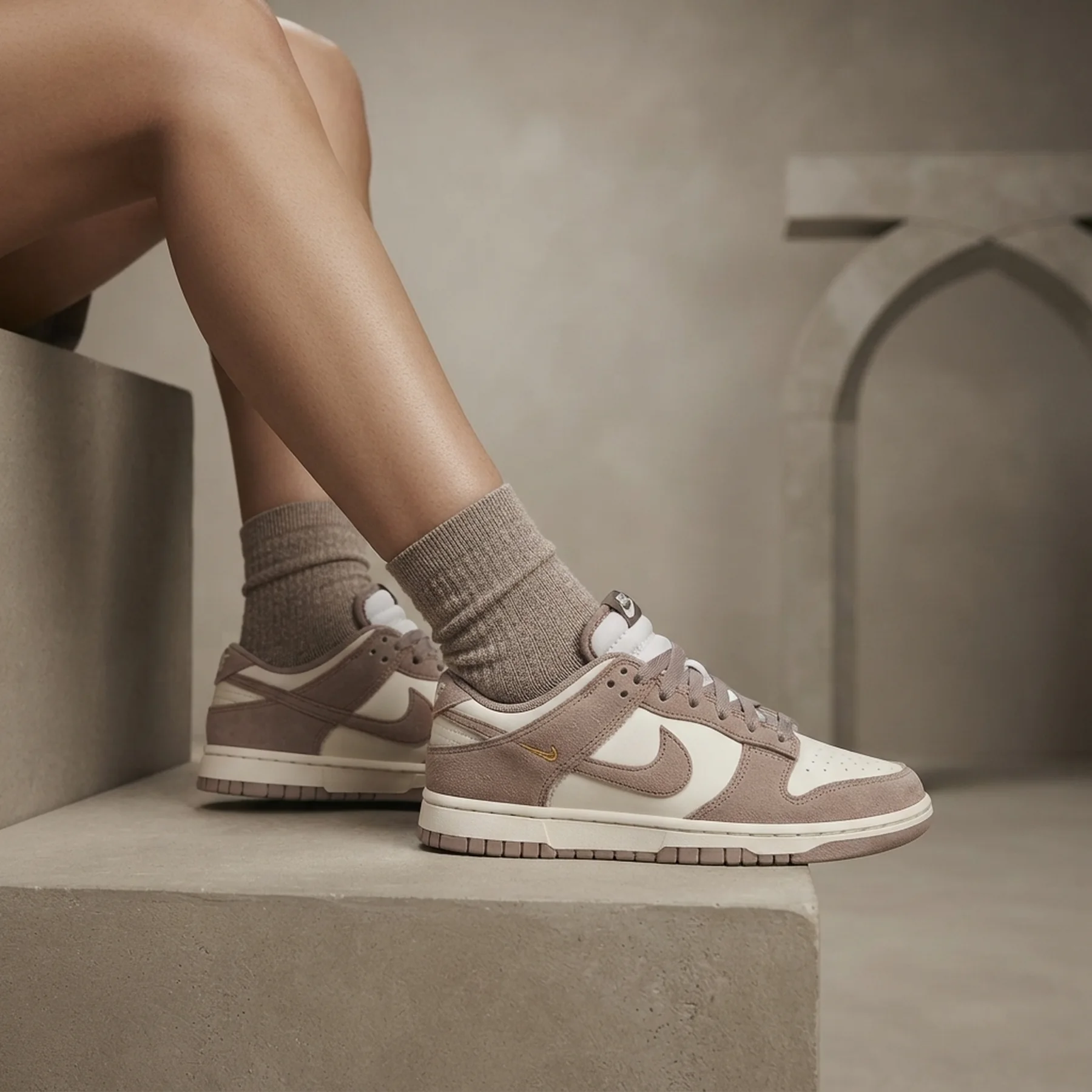 Кросівки Nike WMNS