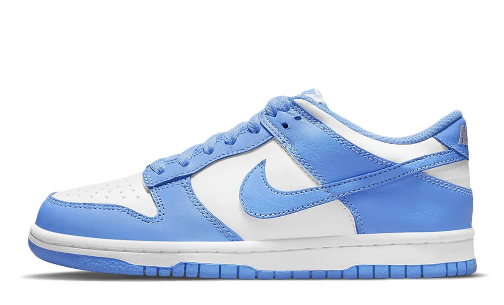 Кросівки підліткові Nike Dunk Low (CW1590-103)