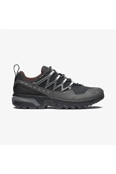 Кросівки Salomon ACS+ Gore-Tex