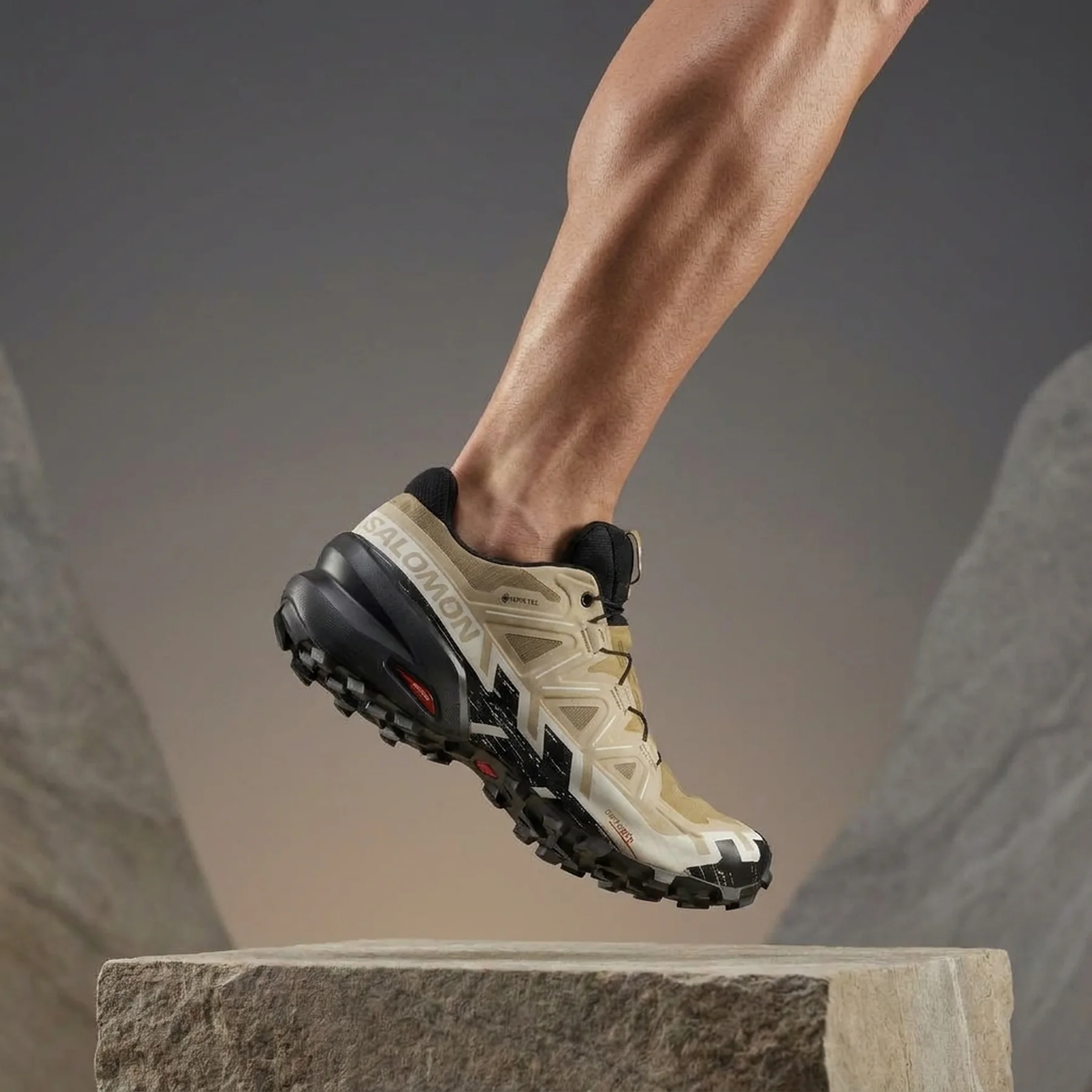 Кросівки Salomon Speedcross 6 GTX GORE-TEX