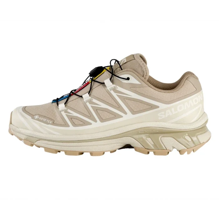 Кросівки Salomon XT-6 GORE-TEX 'Almond Milk'