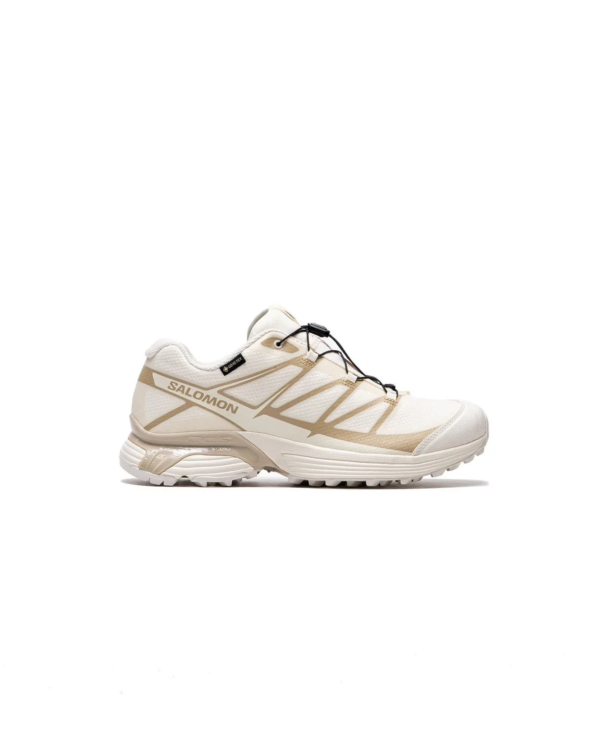 Кросівки Salomon XT-Pathway Gtx Vanila