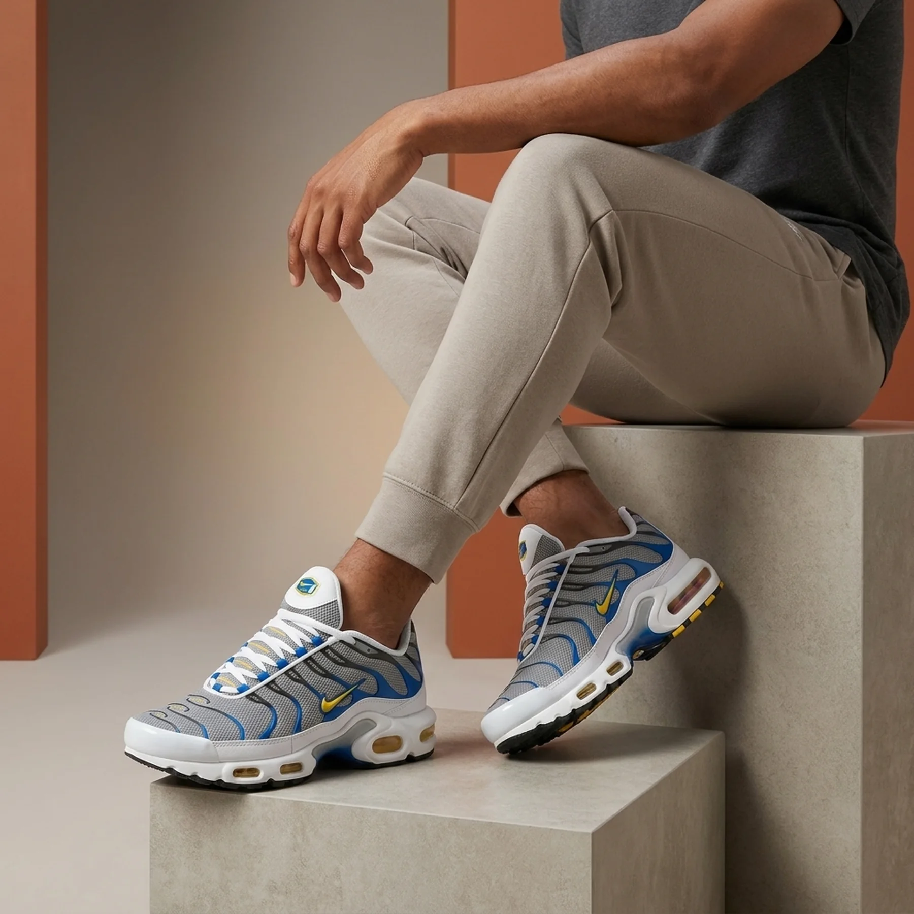 Кросівки унісекс Nike Air Max Plus (HV6227-001)