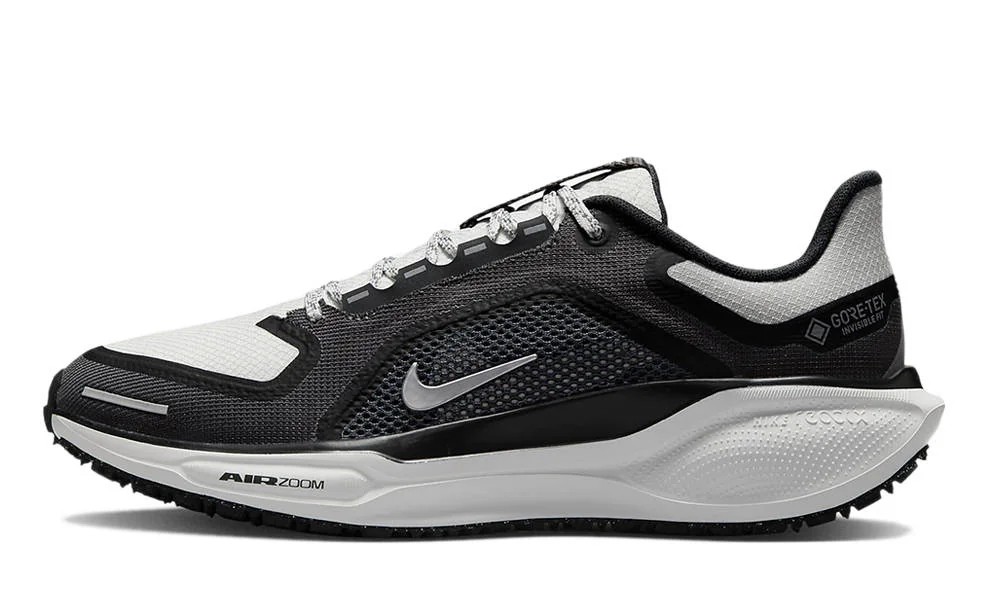 Кросівки унісекс Nike Pegasus 41 Gore-Tex (FQ1357-002)