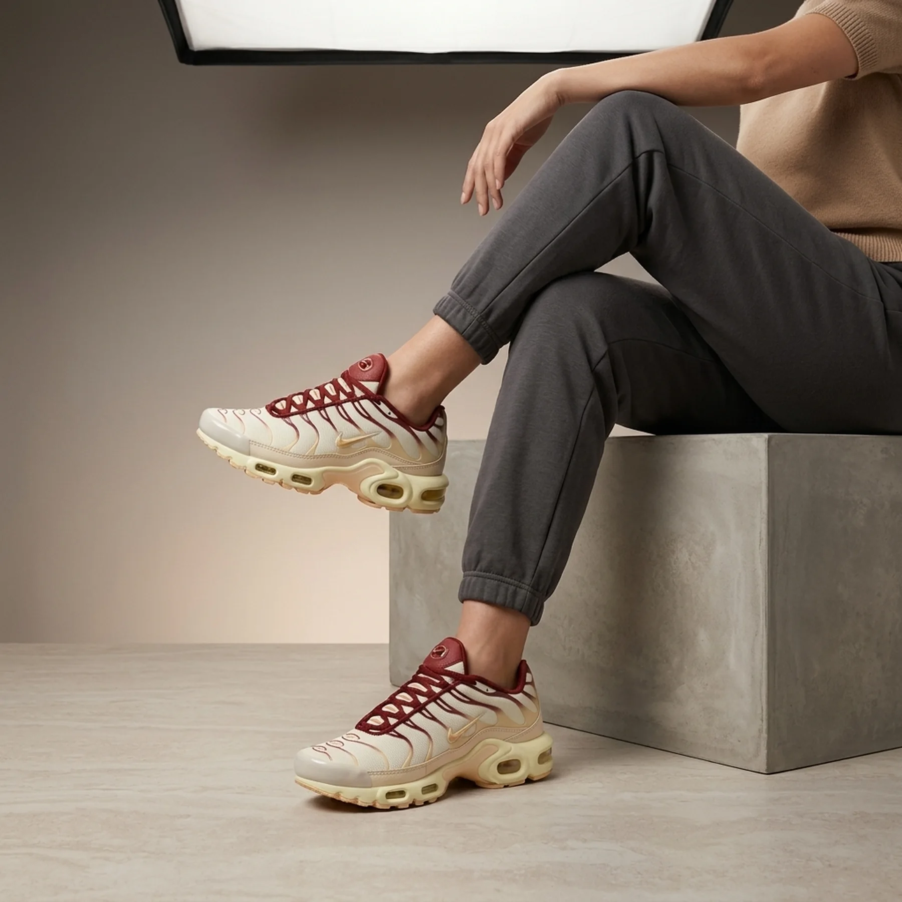 Кросівки унісекс Nike Tn Air Max Plus (FQ2765-100)