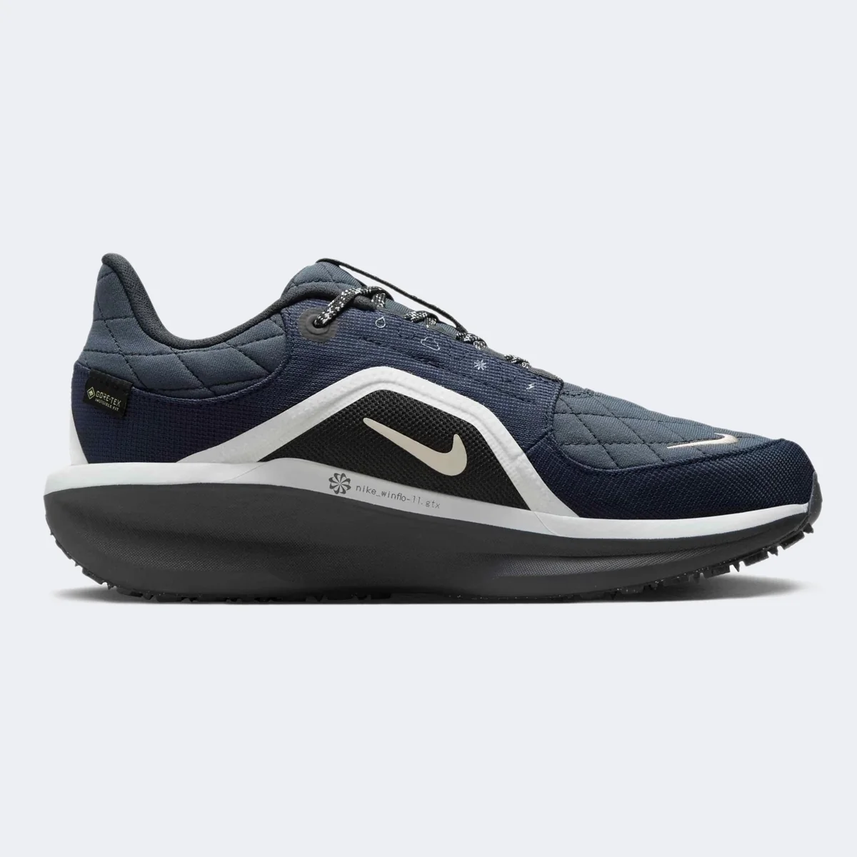 Кросівки жіночі Nike Air Winflo 11 Gtx (FQ1359-400)