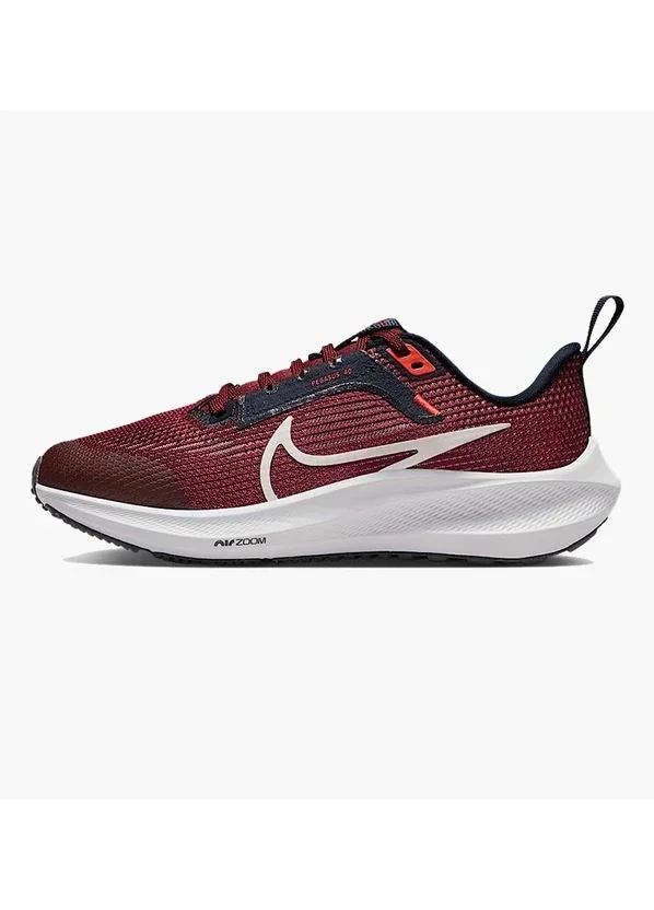 Кросівки жіночі Nike Air Zoom Pegasus 40 Gs (DX2498-009)