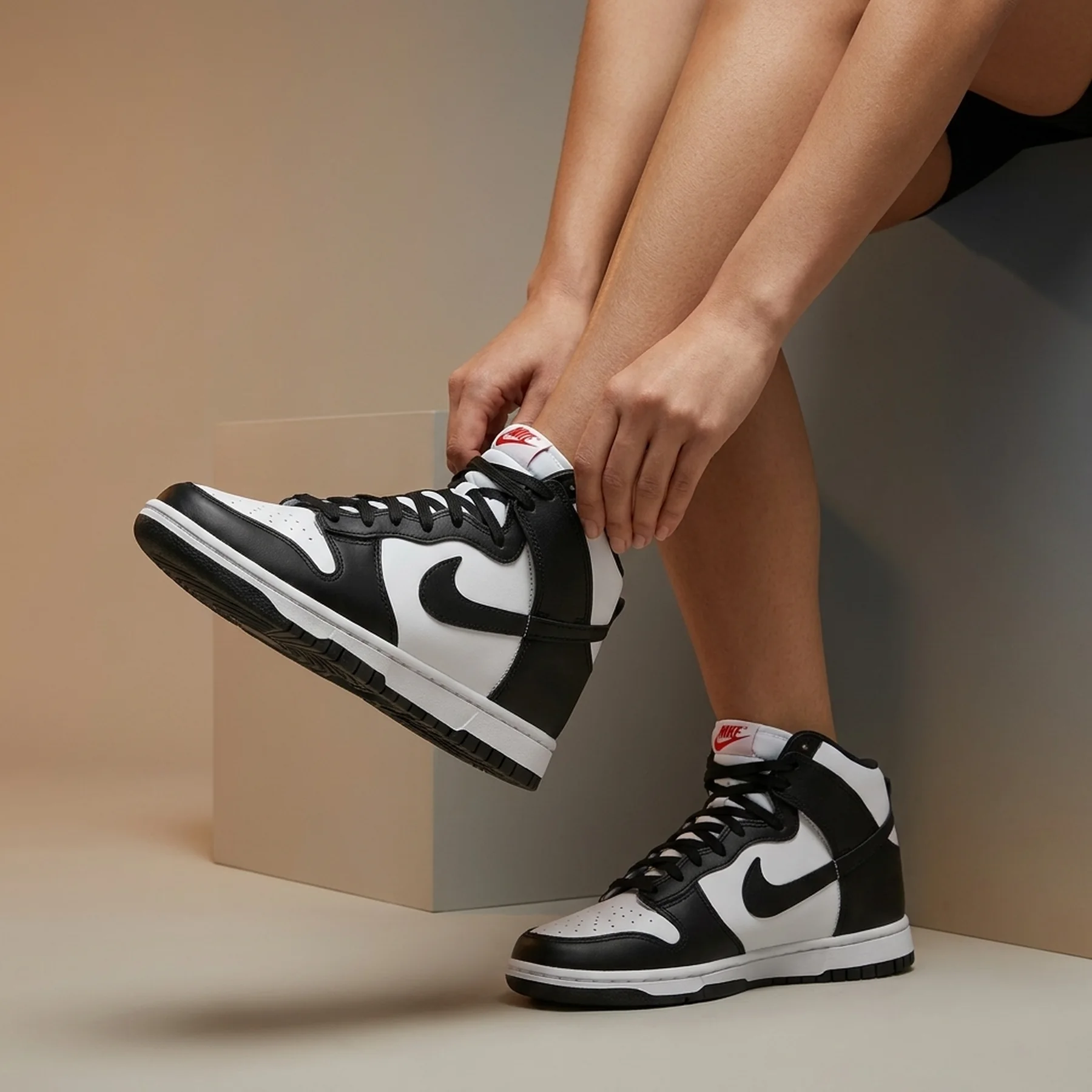 Кросівки жіночі Nike Dunk High Panda (DD1869-103)