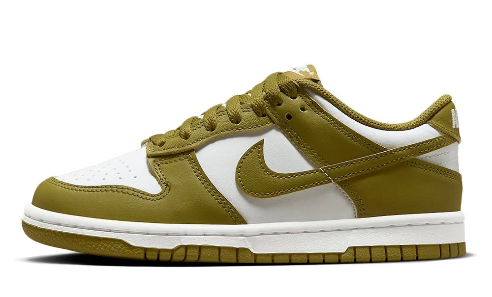 Кросівки жіночі Nike Dunk Low Gs (FB9109-108)