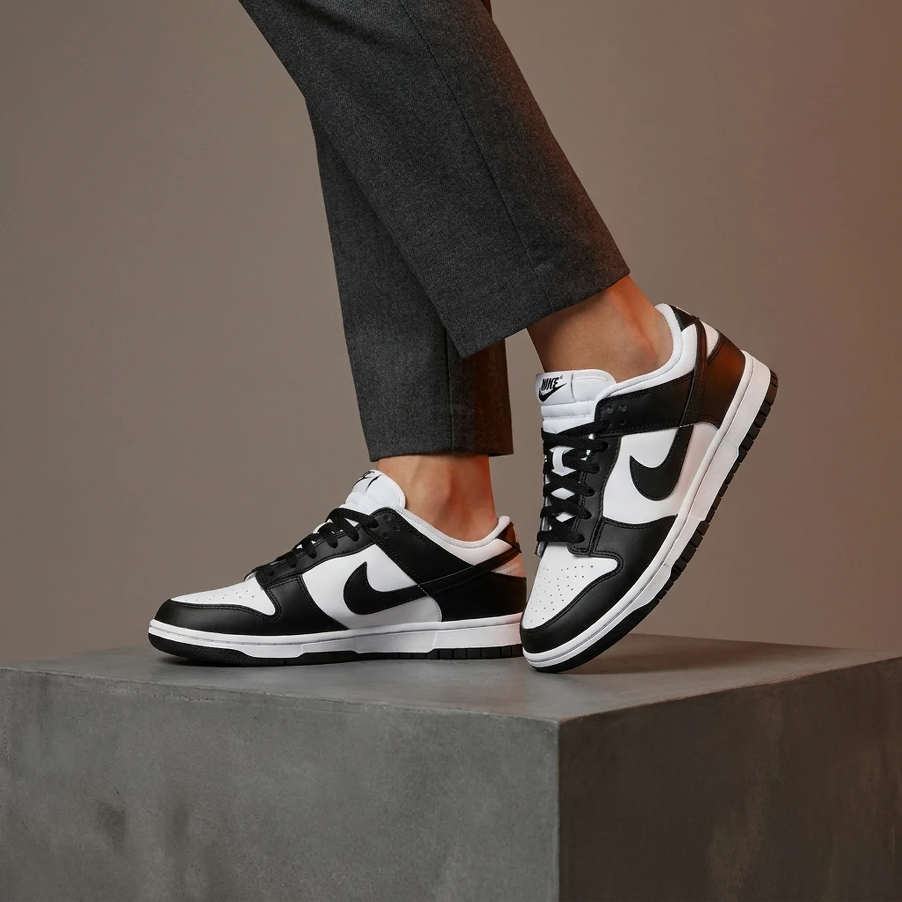 Кросівки жіночі Nike Dunk Low Next Nature (DD1873-102)