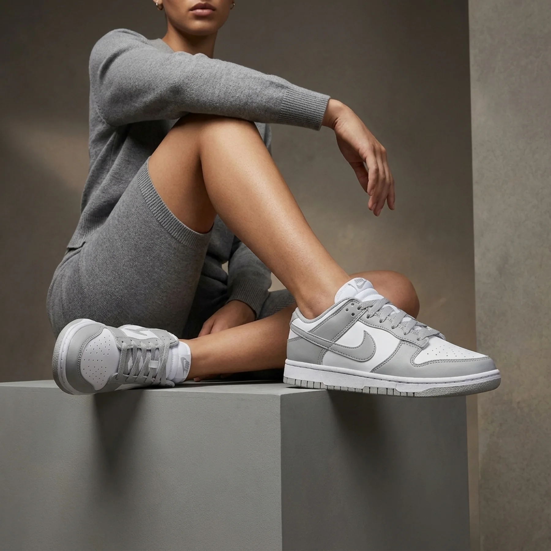 Кросівки жіночі Nike Dunk Low Next Nature Light Smoke Grey (DD1873-113)