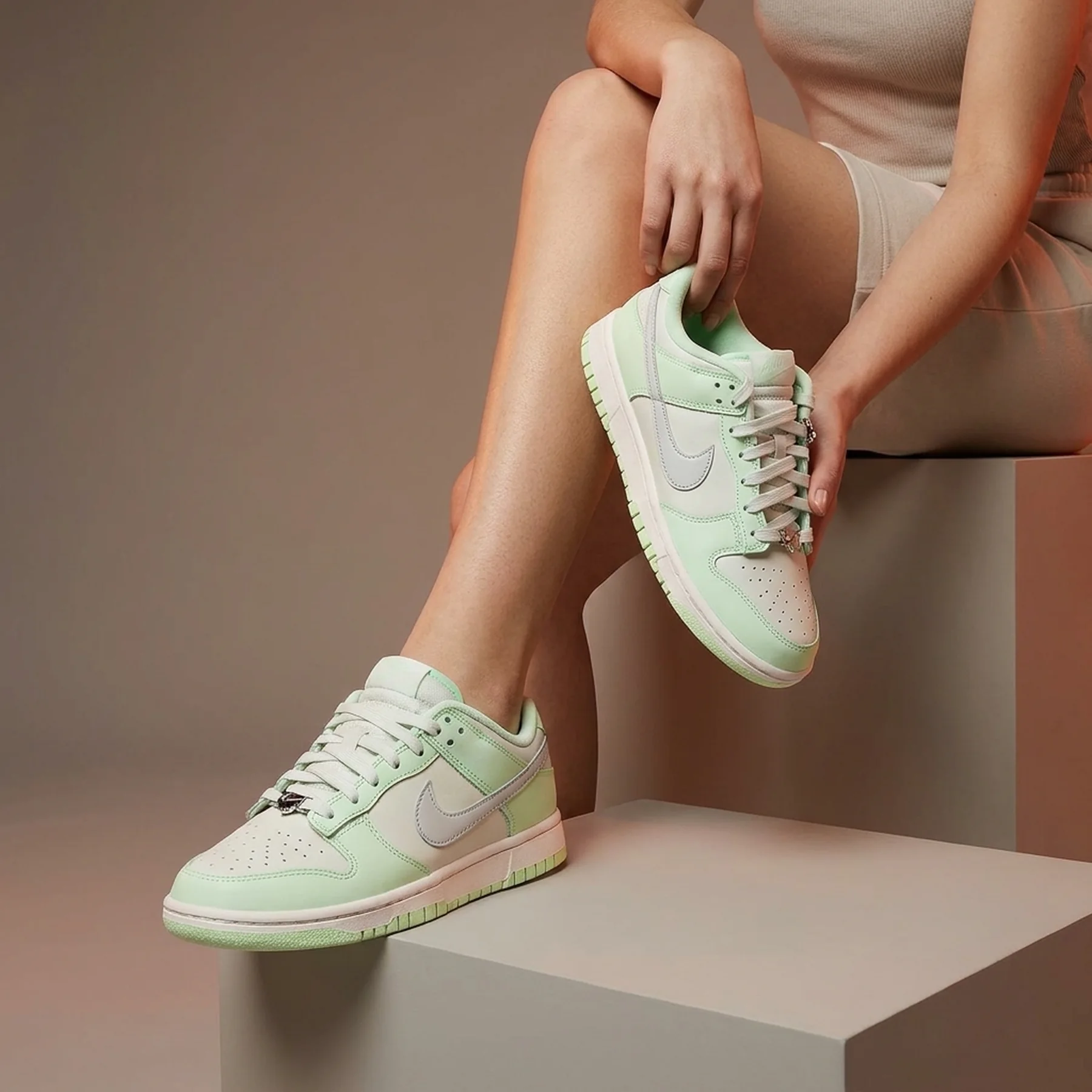 Кросівки жіночі Nike Dunk Low Nn Se (FN6344-001)