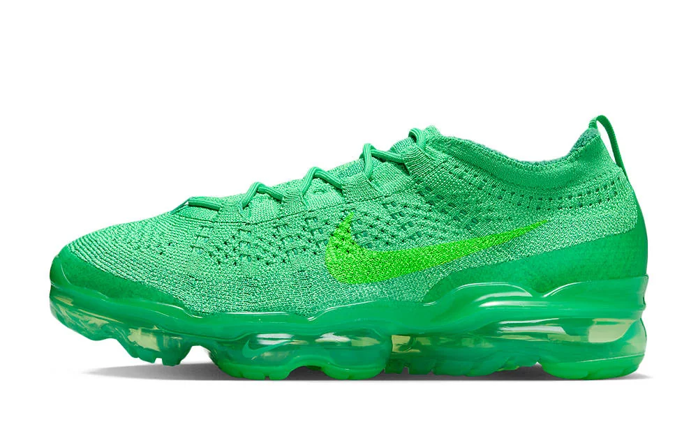 Кросівки жіночі Nike Gymnastics Shoes (DV6840-300)