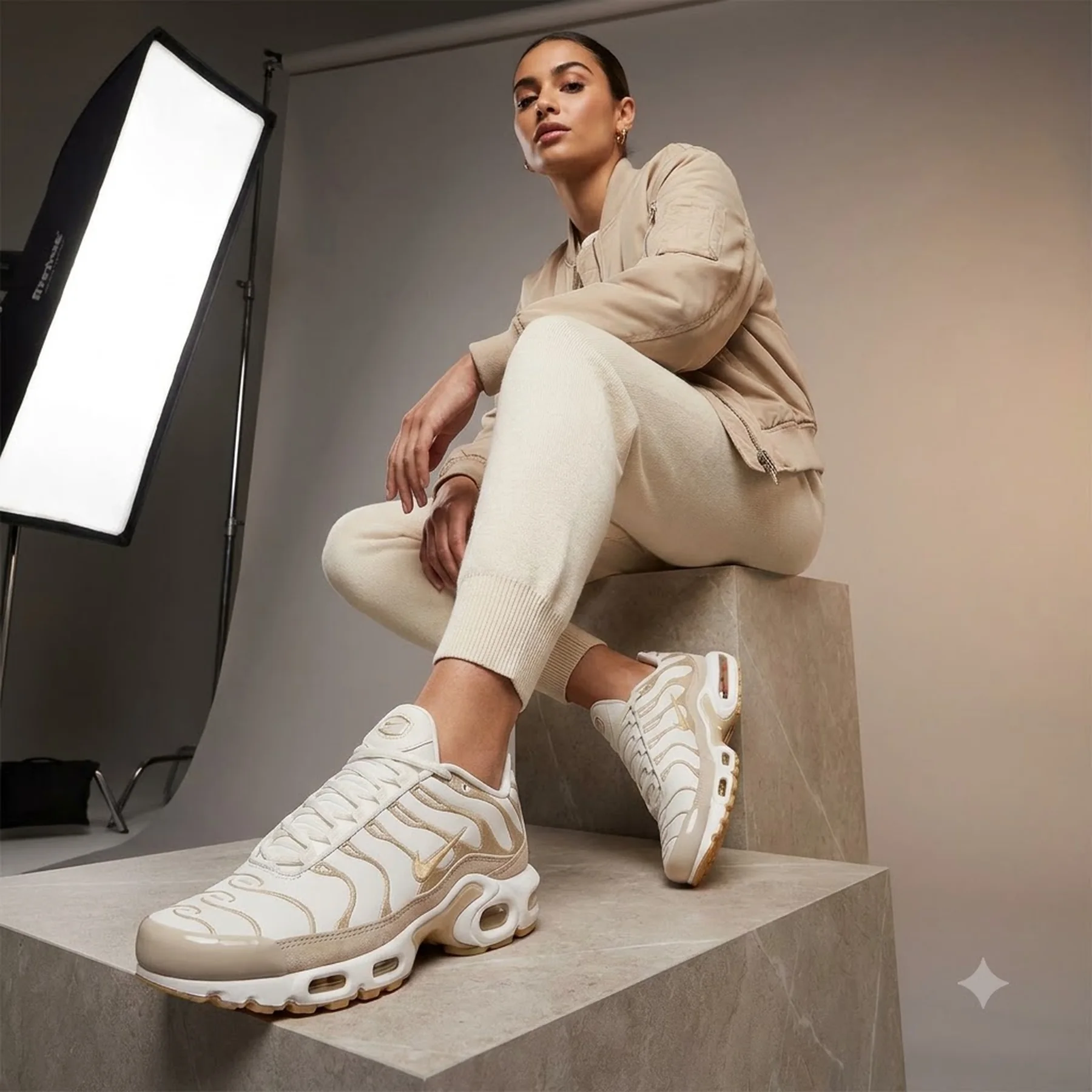 Кросівки жіночі Nike Heritage Air Max Plus (DZ2832-101)