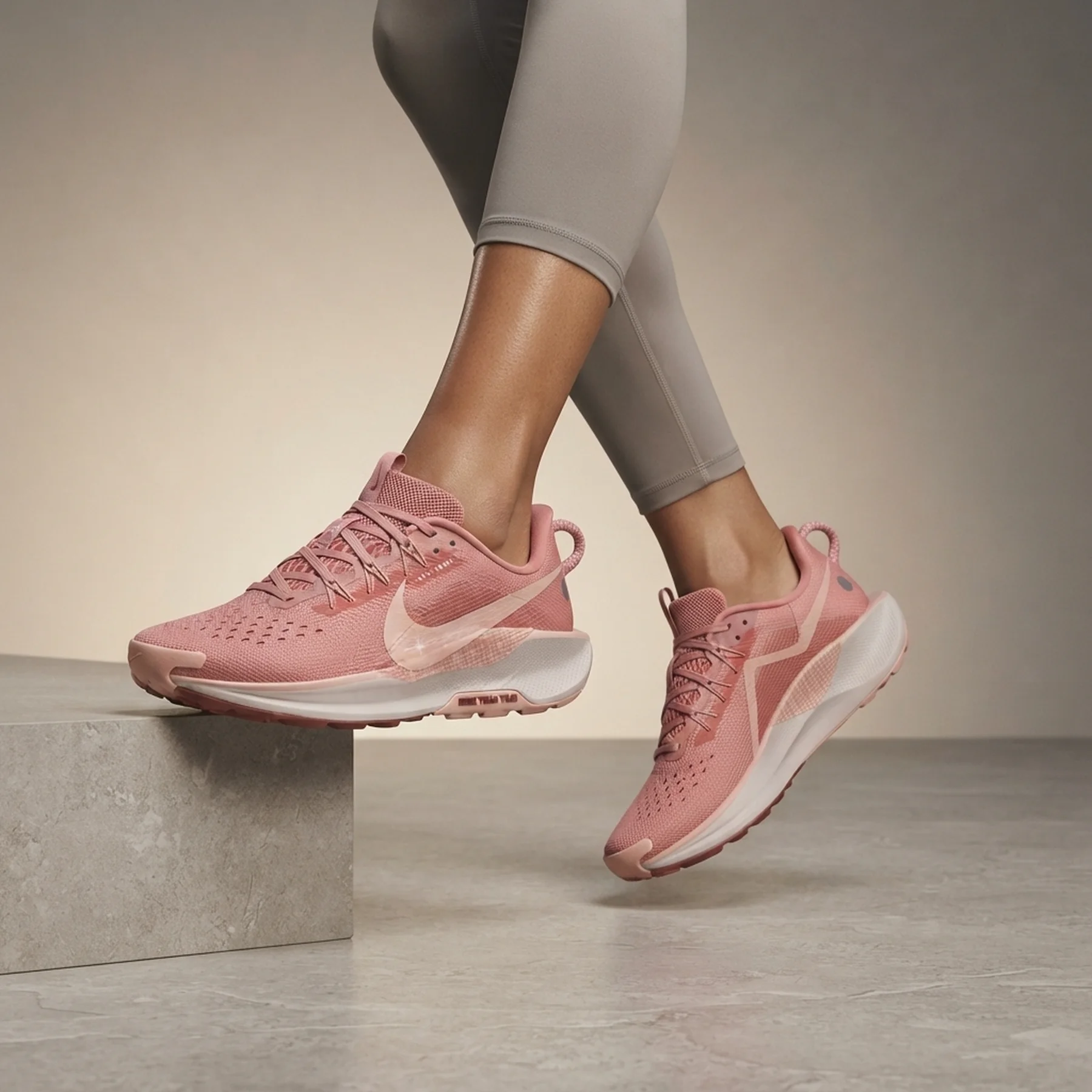 Кросівки жіночі Nike Pegasus Trail 5 (DV3865-600)