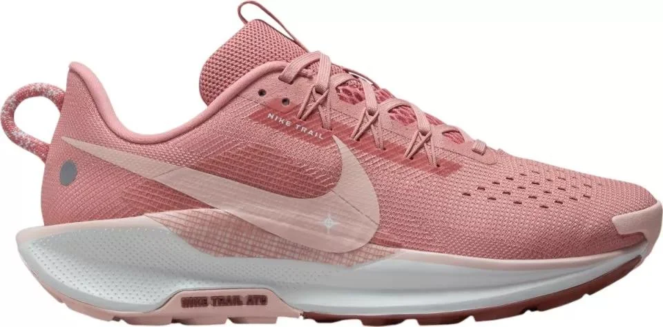 Кросівки жіночі Nike Pegasus Trail 5 (DV3865-600)
