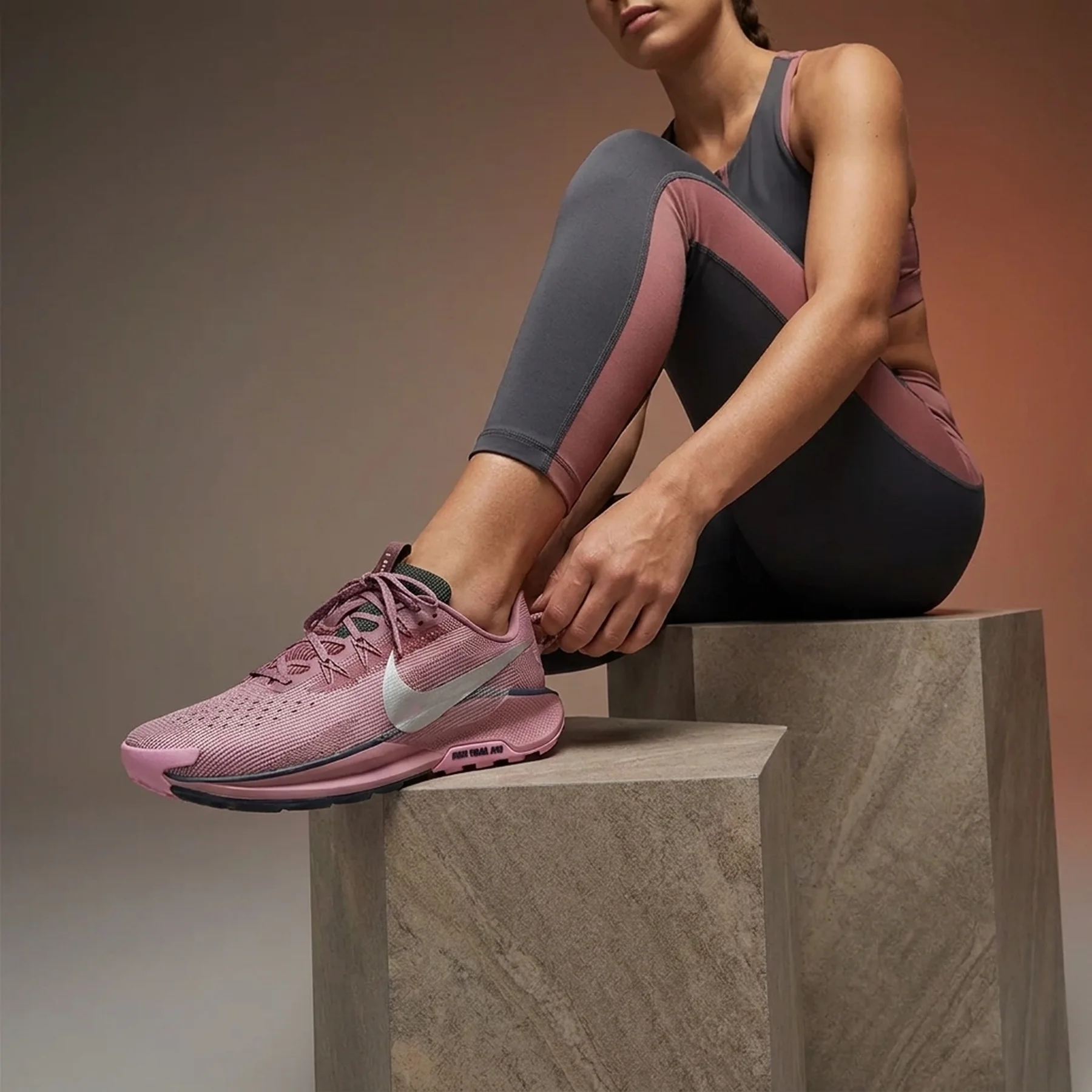 Кросівки жіночі Nike Pegasus Trail 5 Plum Dust W (DV3865-500)