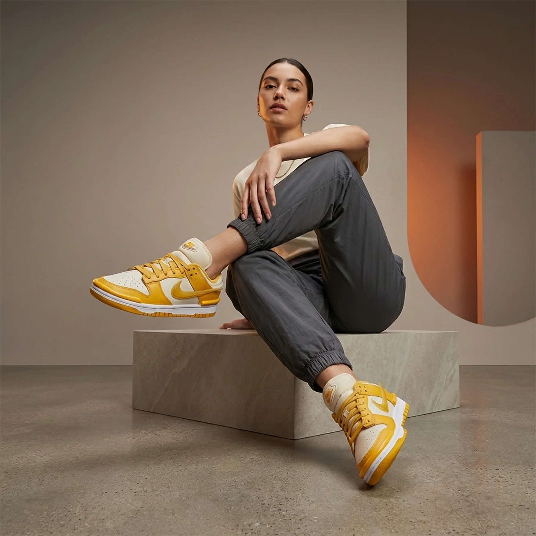 Кросівки жіночі Nike W Dunk Low Twist (DZ2794-100)
