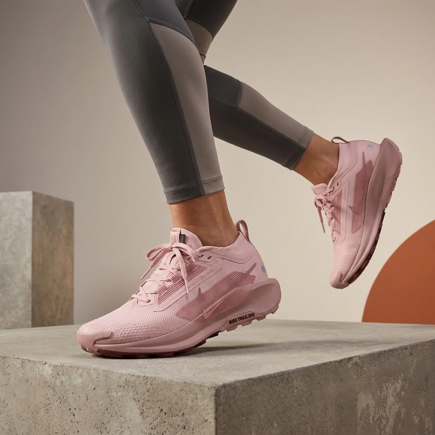 Кросівки жіночі Nike W Pegasus Trail 5 Gtx (FQ0912-601)