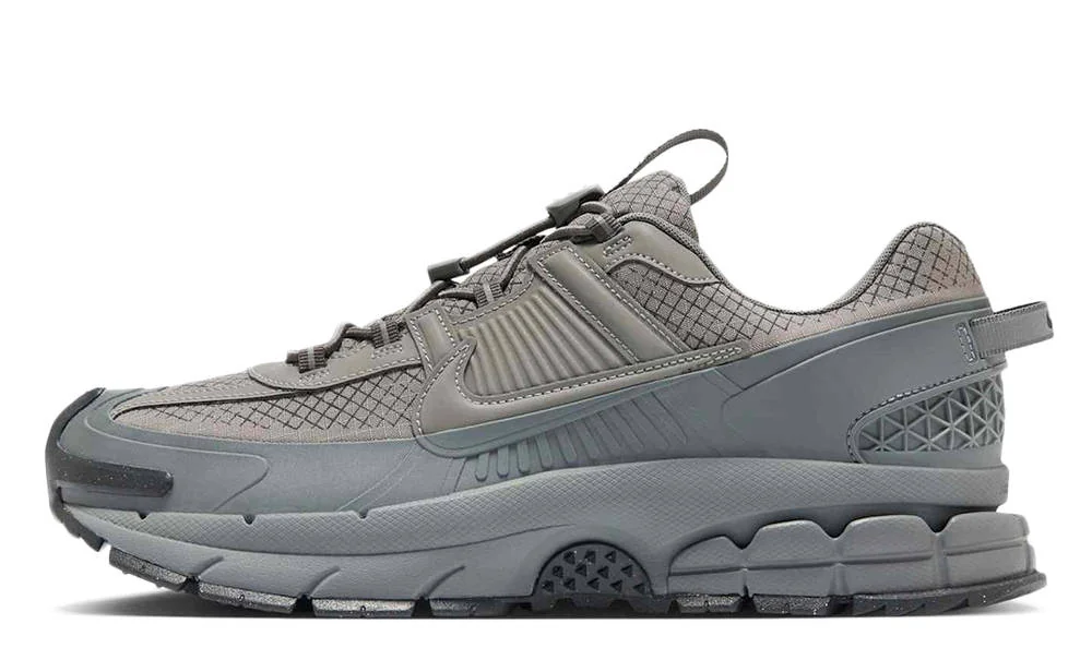 Кросівки Zoom Vomero Roam Metallic Pewter