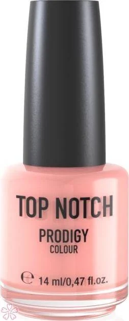 Лак для ногтей Top Notch Prodigy Colour 14 мл 231 Snob