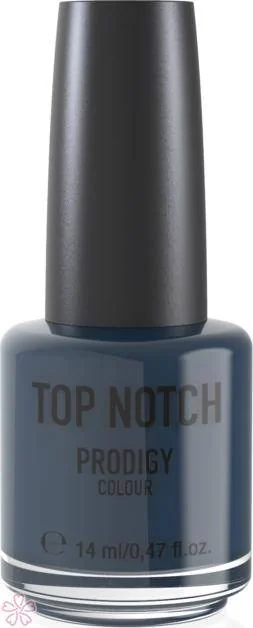Лак для ногтей Top Notch Prodigy Colour 14 мл 234 Winterland
