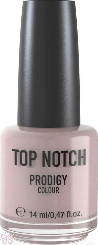 Лак Top Notch Top Notch Prodigy Nail Color 14 мл 243 SANCTUARY