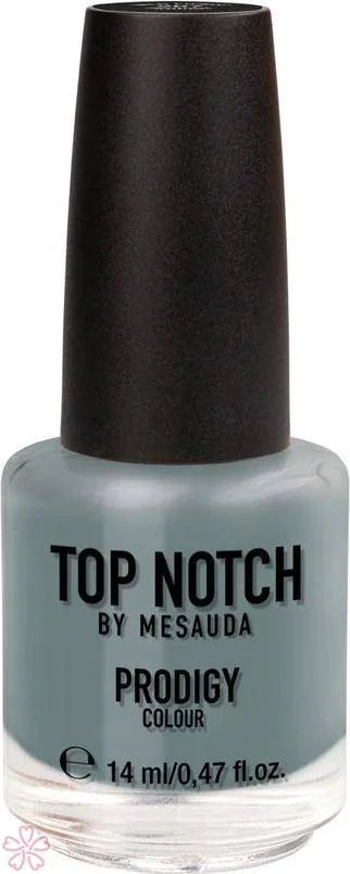 Лак Top Notch Top Notch Prodigy Nail Color 14 мл 267 WILD FOREST