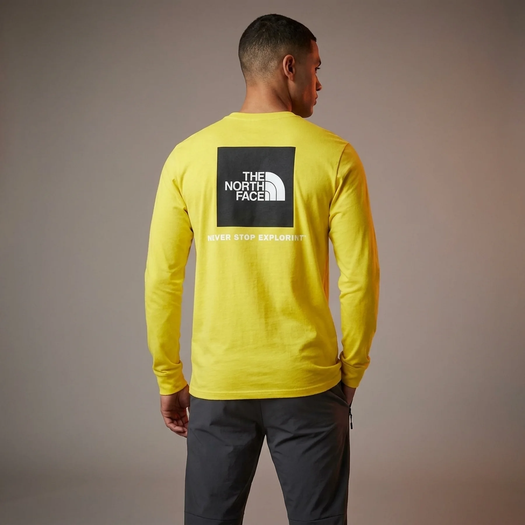 Лонгслів чоловічий The North Face (сірий)