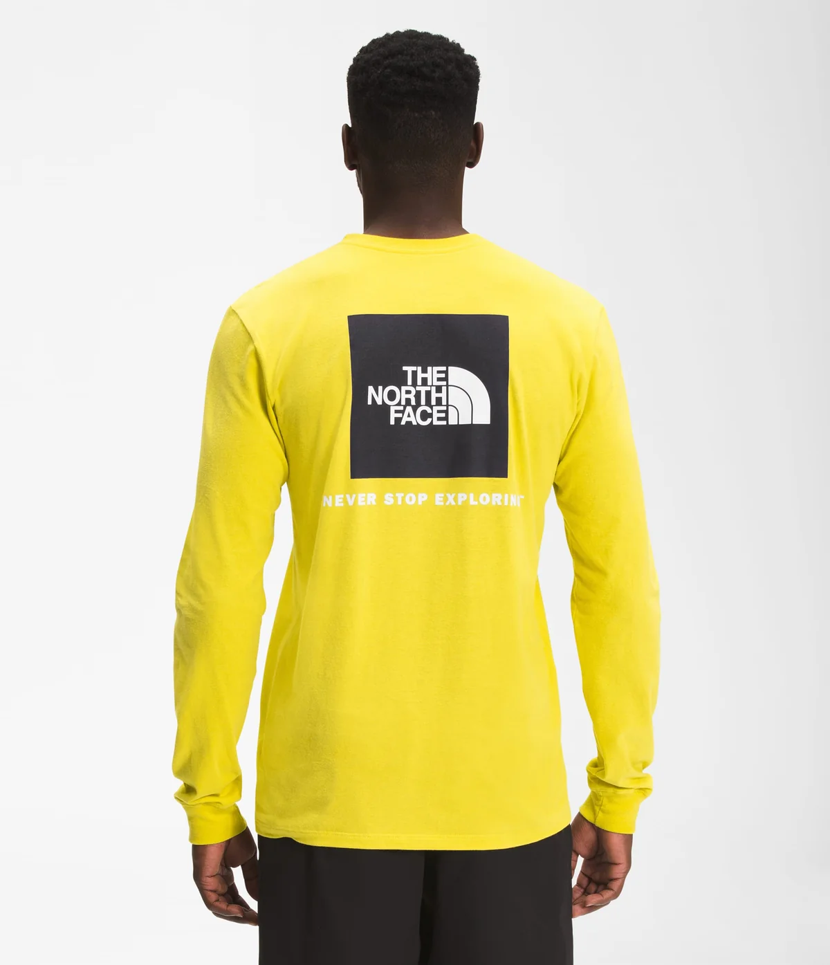 Лонгслів чоловічий The North Face (сірий)