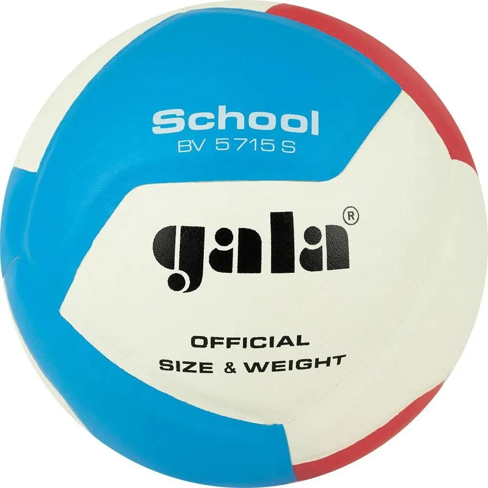 М'яч волейбольний Gala School 12 BV5715S