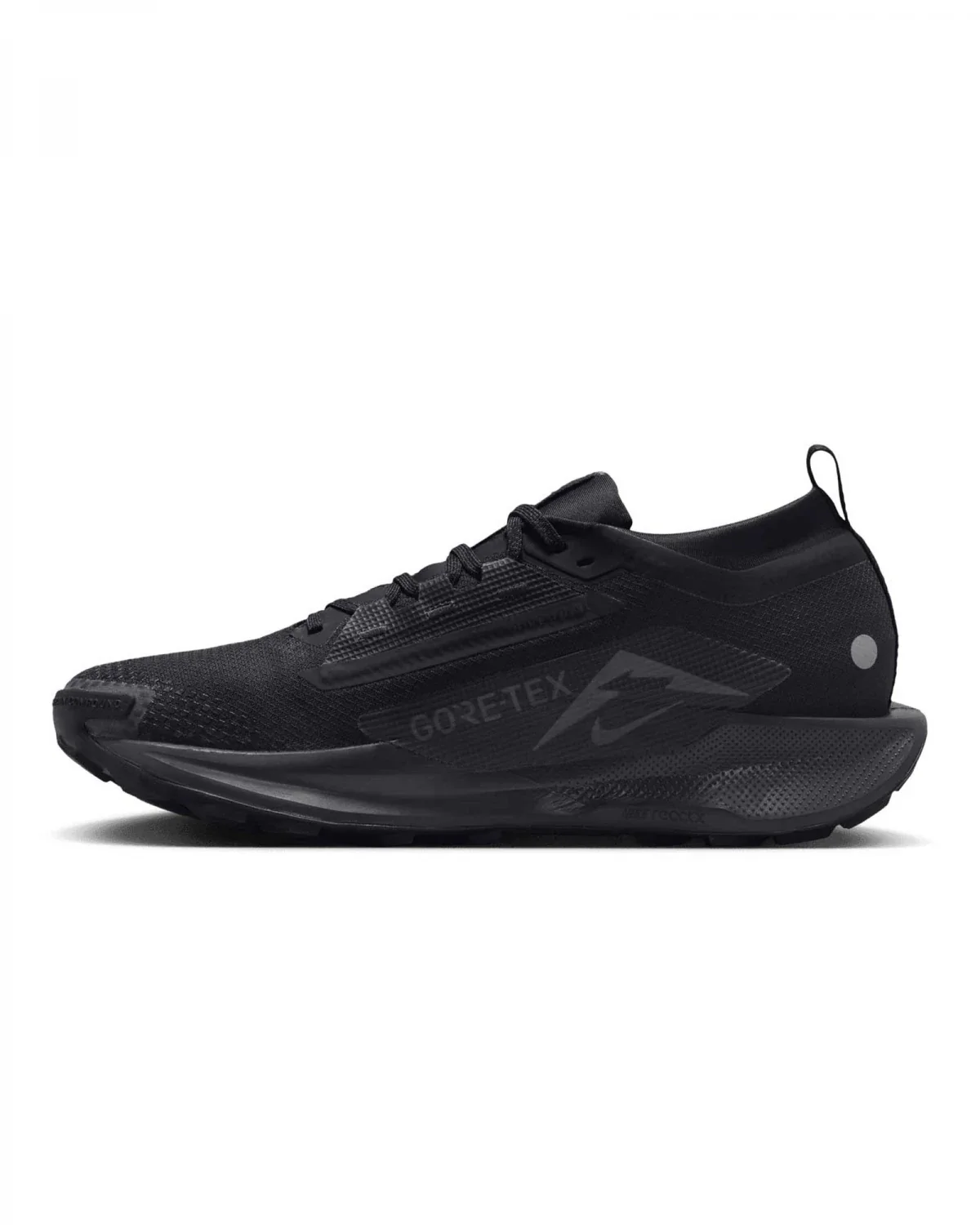 Nike Pegasus Trail 5 GORE-TEX 'Black Anthracite'