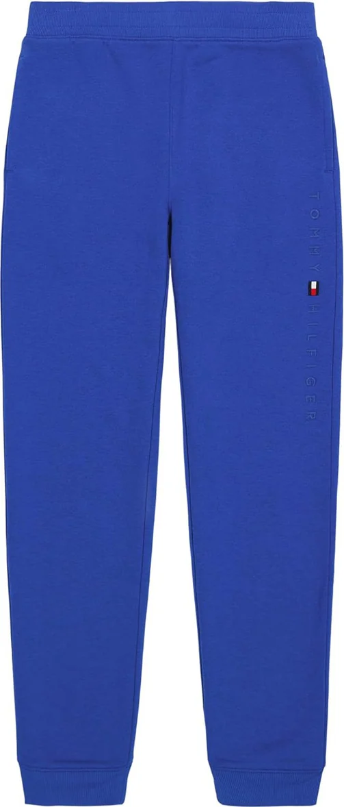 Штани дитячі джоггери Tommy Hilfiger 1159841562 (Синій 5)