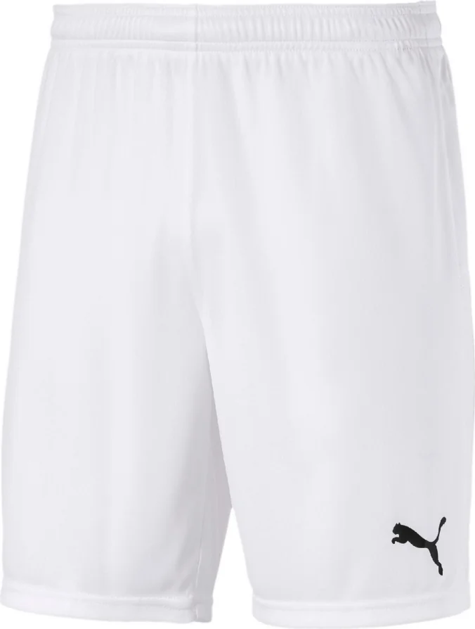 Шорти Puma teamGOAL 23 knit Shorts