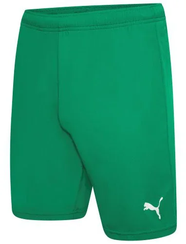 Шорти Puma teamRISE Short
