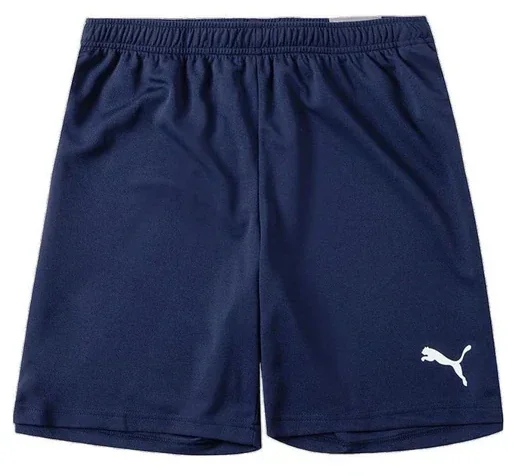 Шорти Puma teamRISE Short