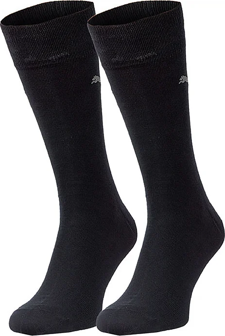 Шкарпетки Puma CLASSIC 2P