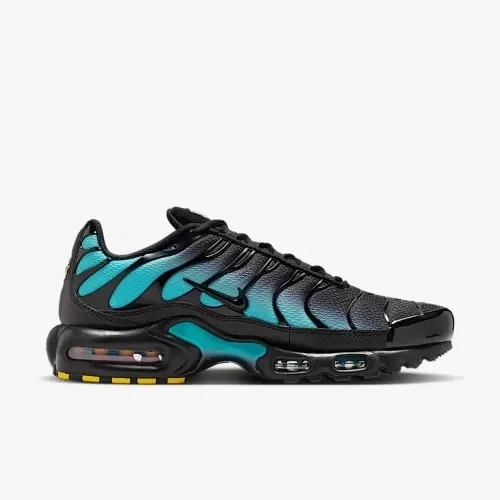 Кросівки чоловічі Nike Air Max Plus DM0032-016, 46