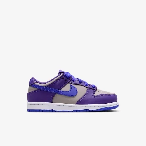 Дитячі кросівки Nike Dunk Low Pse FB9108-007, 28.5