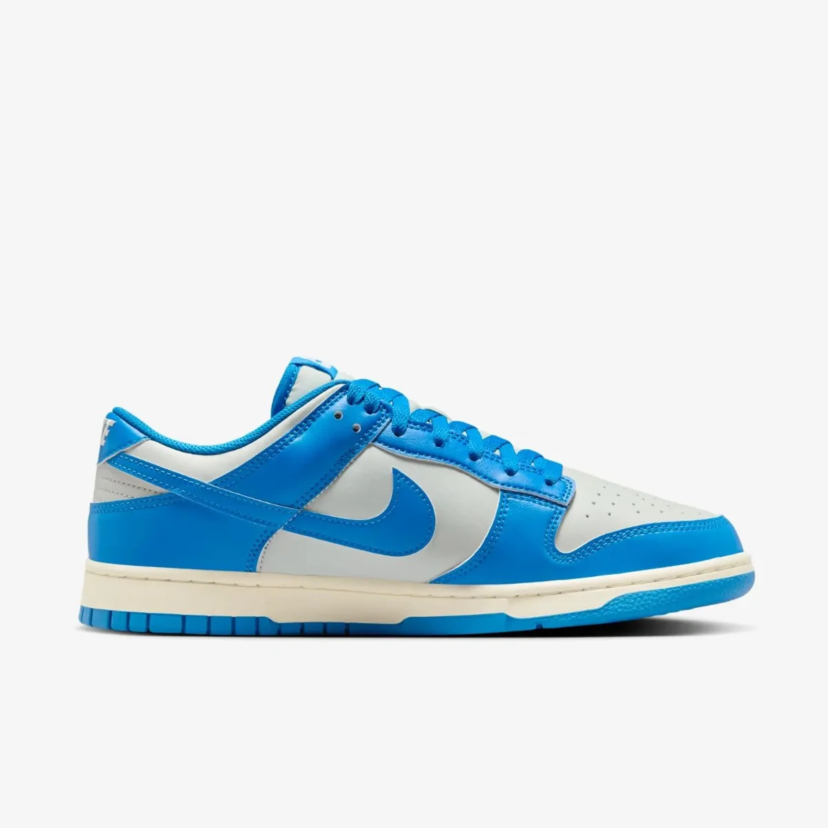 Чоловічі кросівки NIKE DUNK LOW RETRO HF5441-002, 42