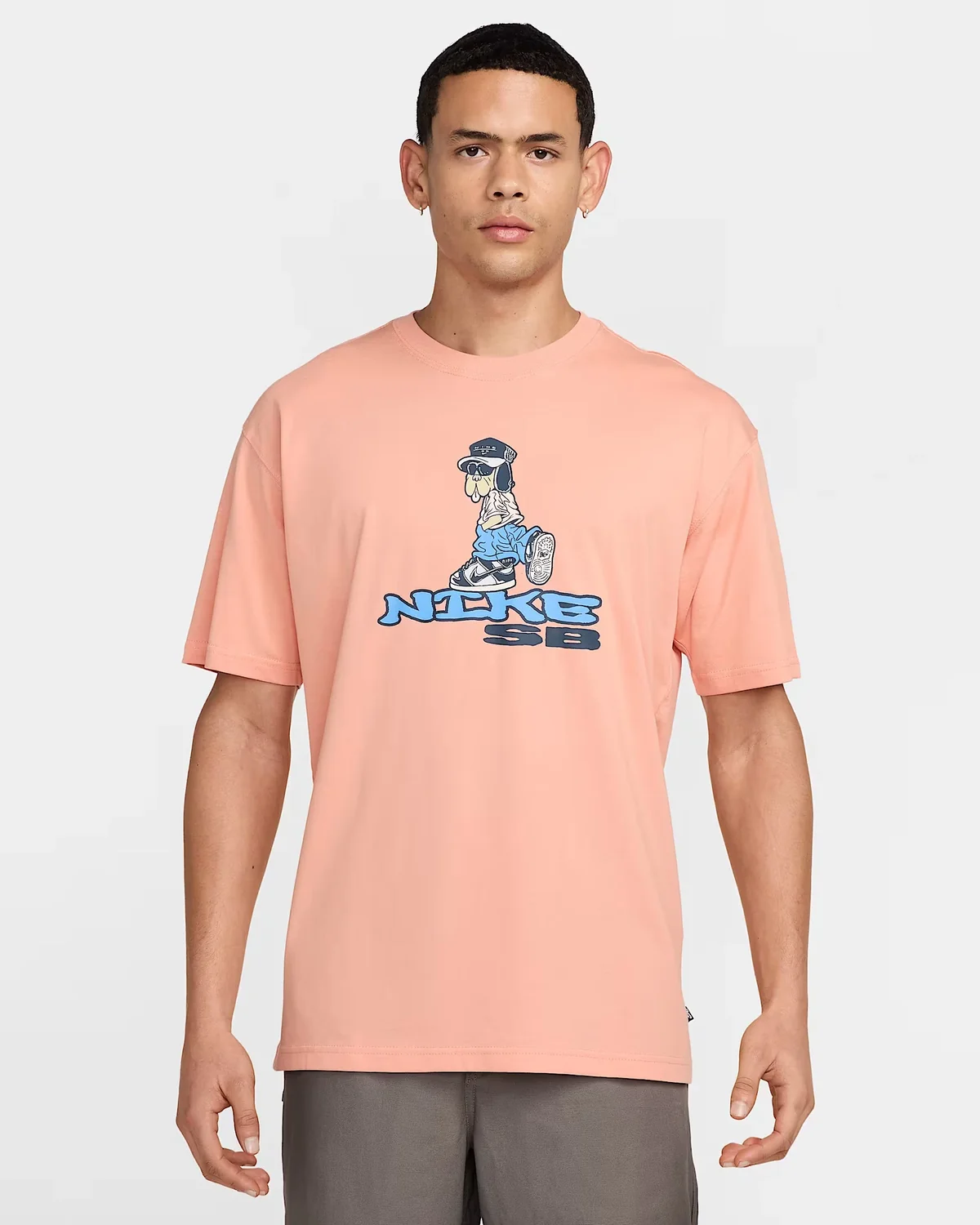 Футболка чоловіча NIKE SB U TEE M90 OC DUNK DOG HJ0896-844, 2XL