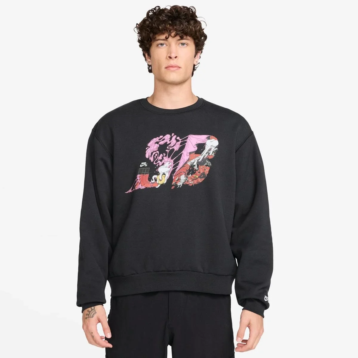 Толстовка чоловіча NIKE SB U FLC PO CRW BB SSNL GFX HQ9010-010, 2XL