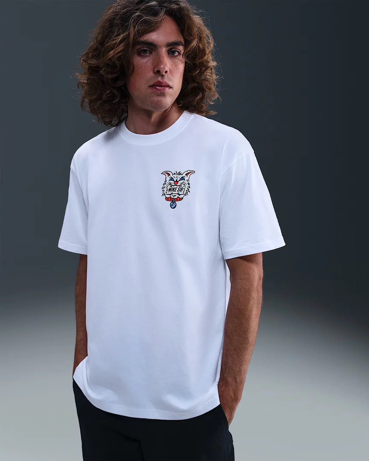 Чоловіча футболка Nike SB Max90 Skate HV2188-100, M
