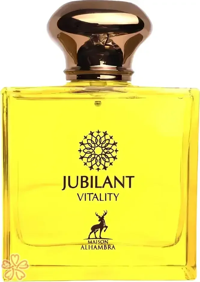 Парфюмированная вода для мужчин Alhambra Jubilant Vitality 100 мл