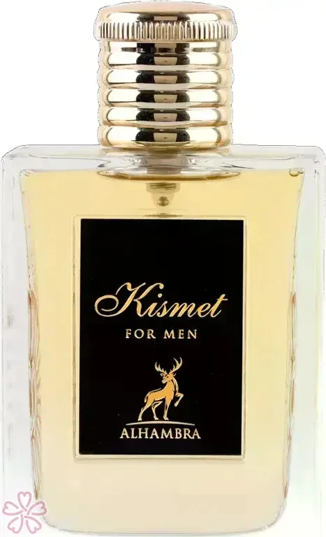 Парфюмированная вода для мужчин Alhambra Kismet for men 100 мл